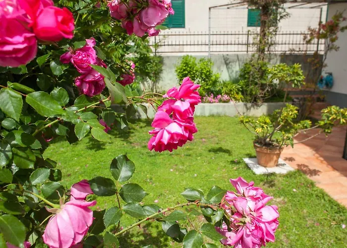 Apartment Cvjetni Dvori