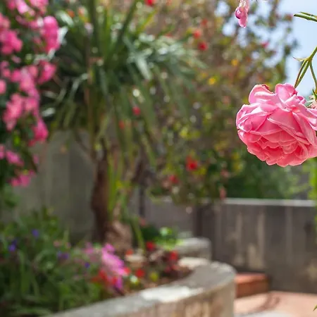 Cvjetni Dvori * Makarska