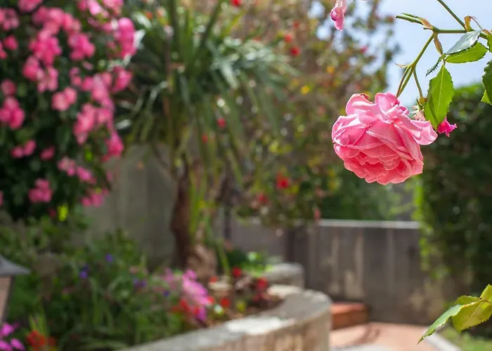 Cvjetni Dvori * Makarska